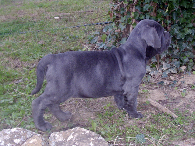 SANY0054