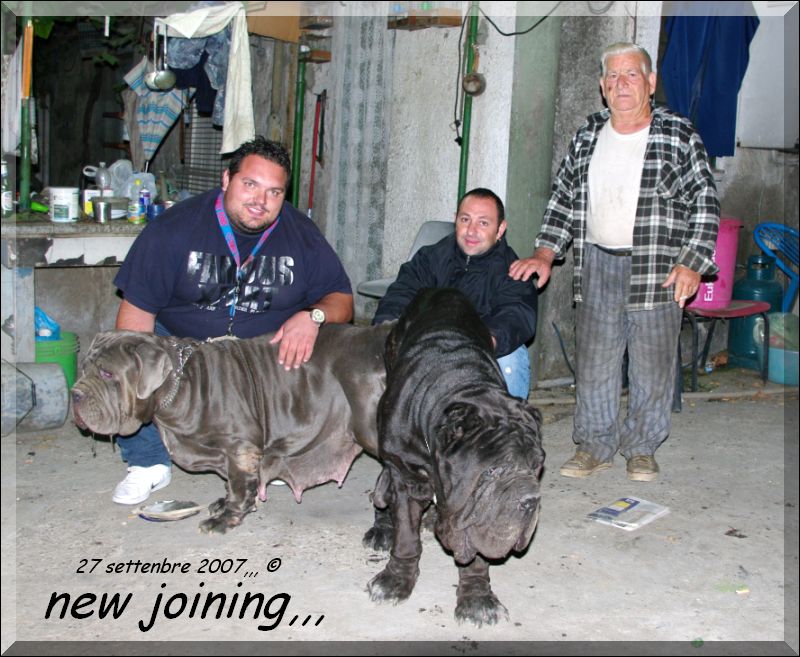 Joining,,, new