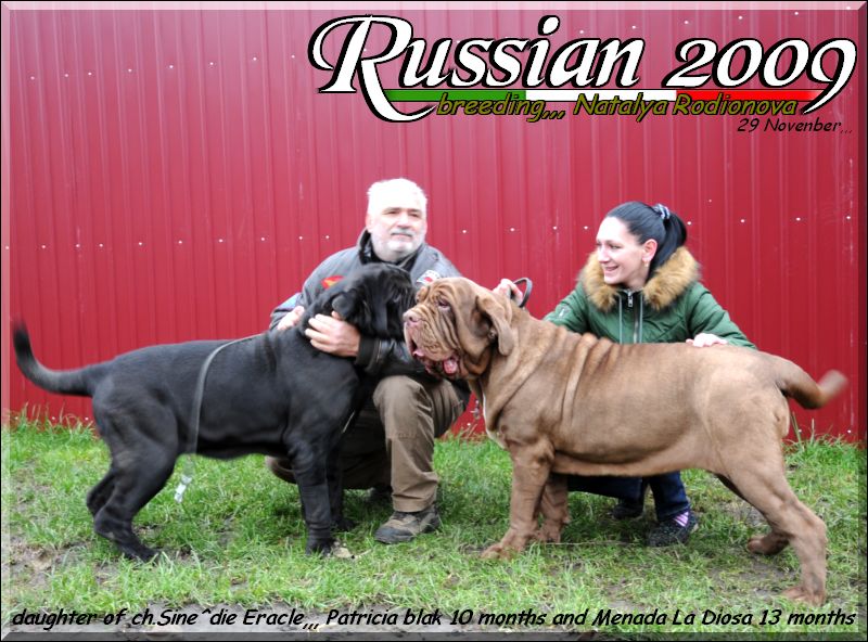 Russian November 2009,,,,