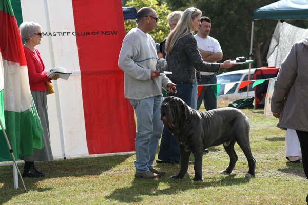 junMale1stIMG_8728