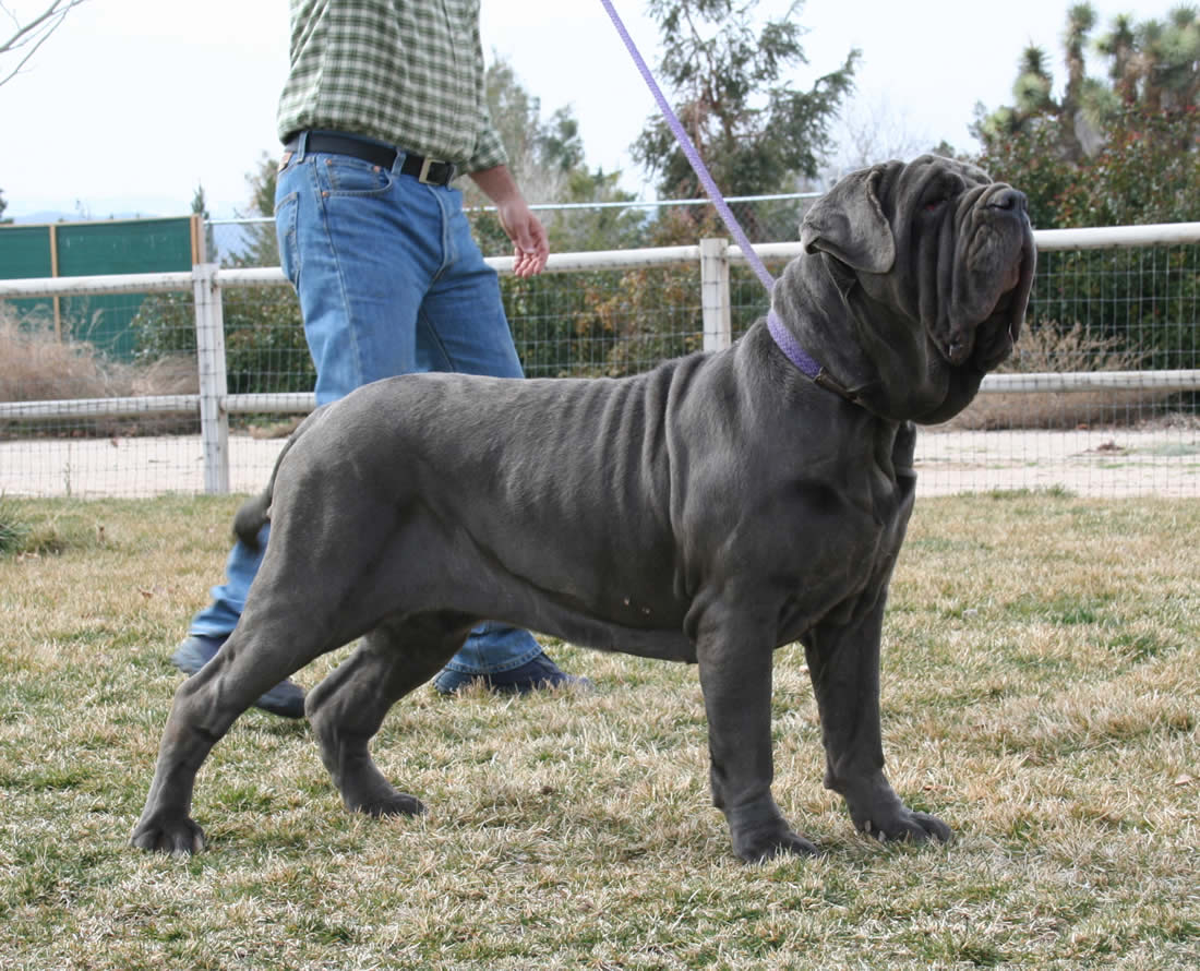 DelFeudoNissenoItaca