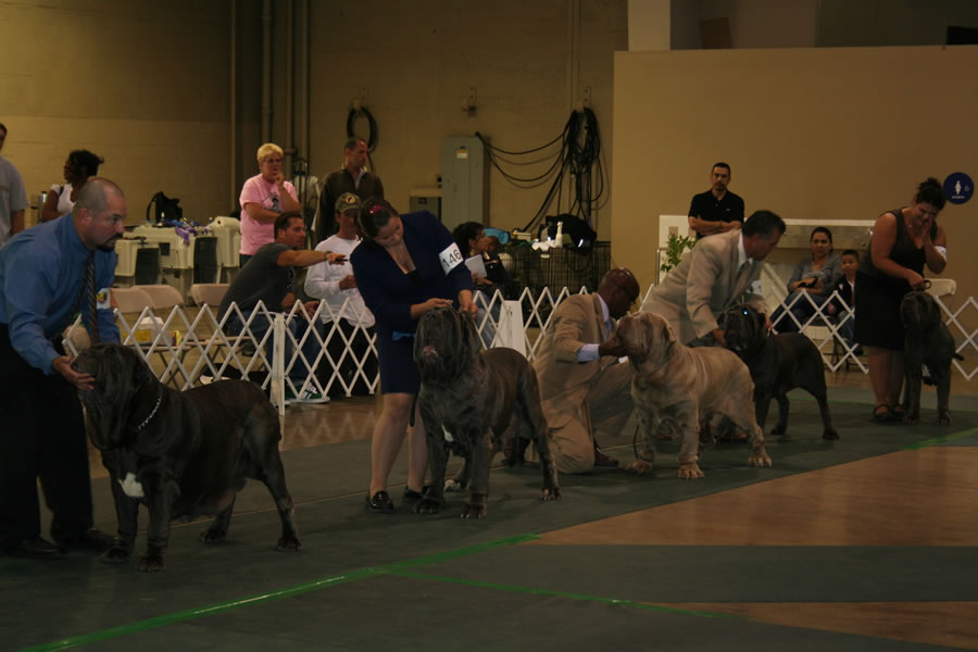 2010-Nationals-44