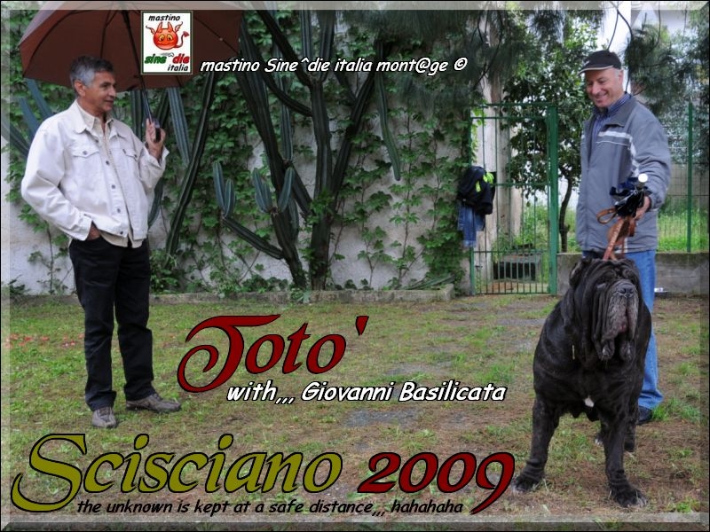 Scisciano 2009 ,,,,,,