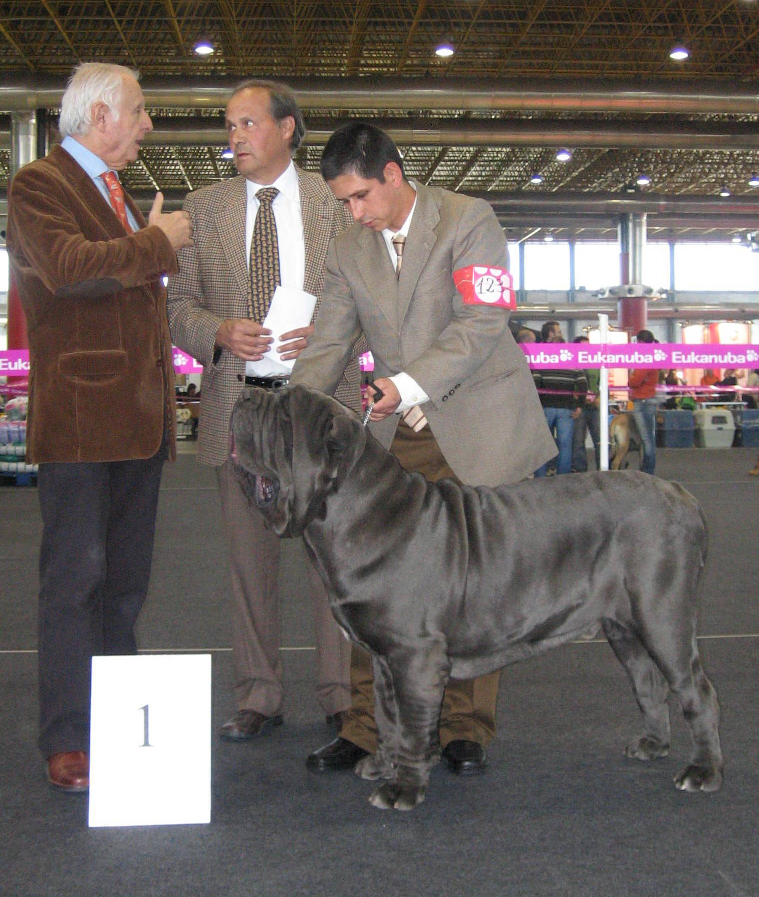 REMO BIS JOVEN MONOGRAFICA2007