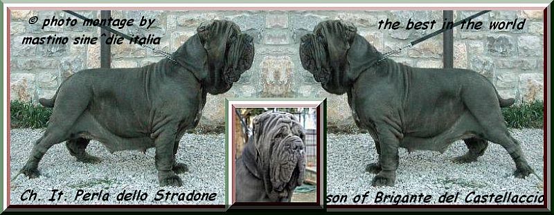 by sine^die Perla dello Stradone ooxx