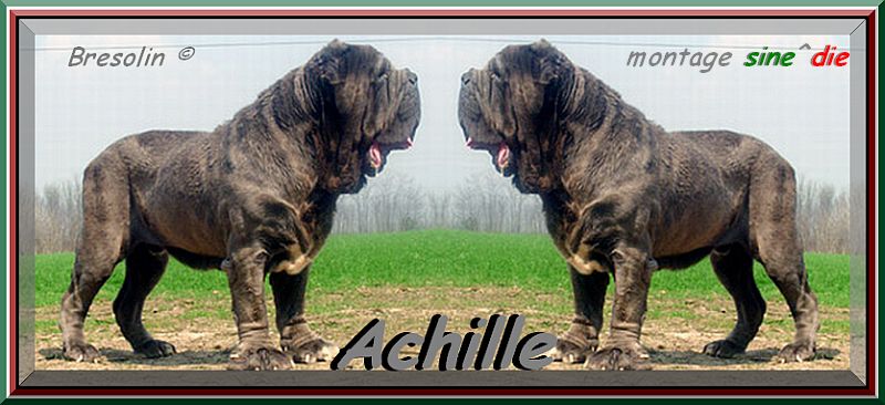 Achille by Bresolin,,,,, doppio