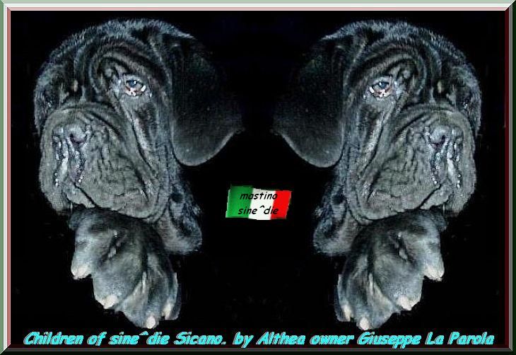 children of sine^die Sicano in the world by Althea 3 a b