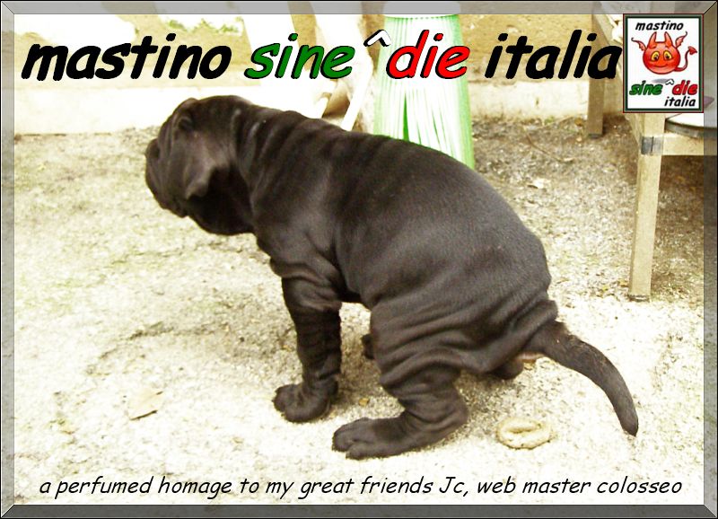 a perfumed homage to my great friends Jc, web master colosseo