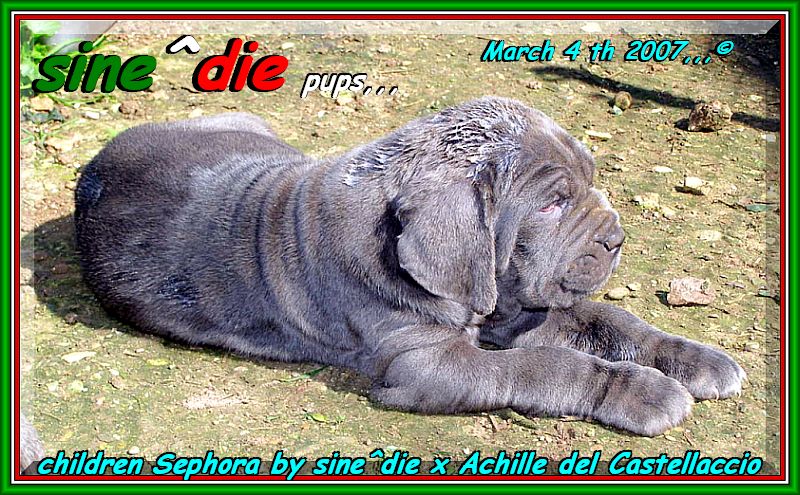 Children of sine^die Sephora by sine^die x Achille del Castellaccio,,