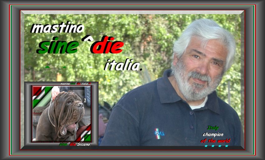 mastino sine^die italia,,,,,,