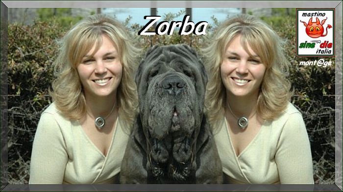 zorba double
