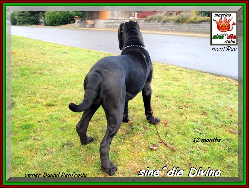 sine^die Divina buon compleanno xo