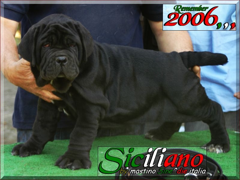Siciliano remember 2006,