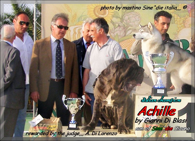 It. Ch. Achille del Regno di Sicilia,,