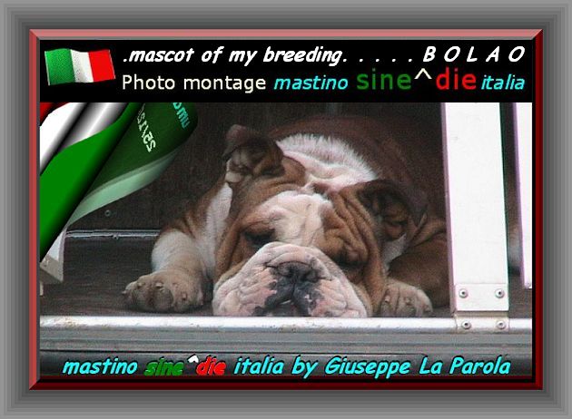 mascot of my breeding