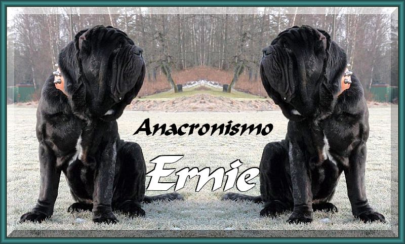 Ernie