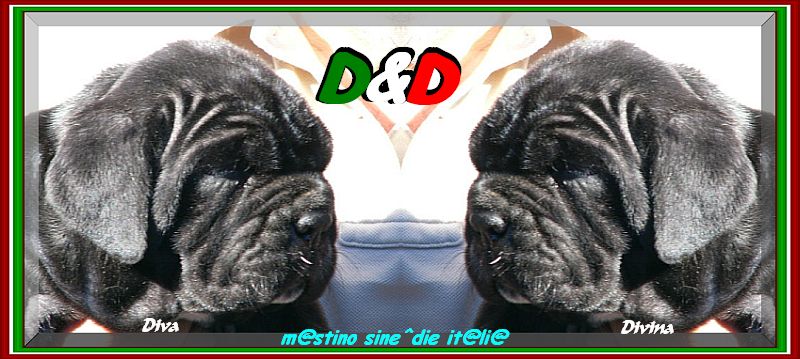 D&D sine^die Diva & Divina