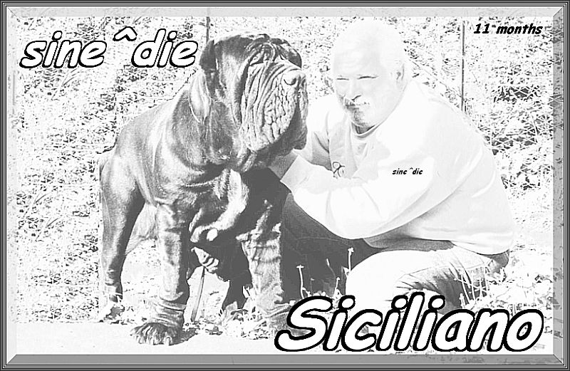 sine^die Siciliano bianco & nero