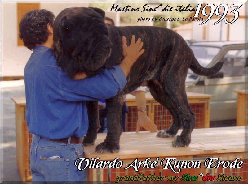 1993 Erode Vilardo Arke Kunon