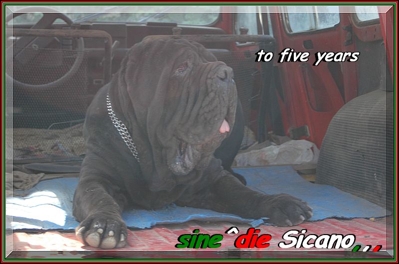 sine^die Sicano R4,,