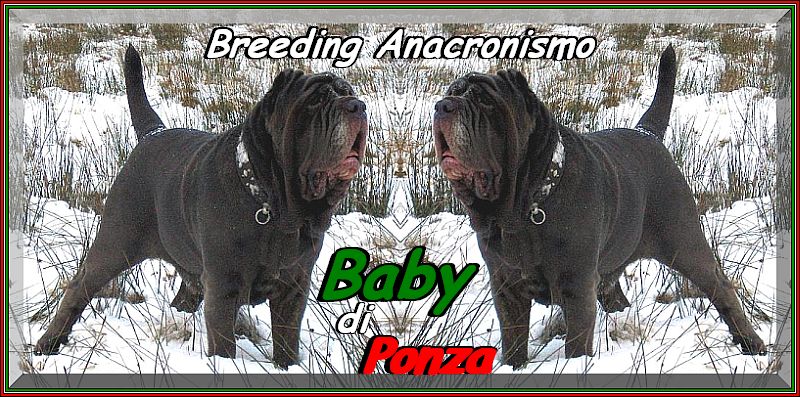Baby di ponza by Anacronismo,,,