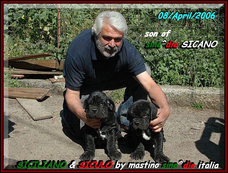 SICILIANO & SICULO son of sine^die SICANO...