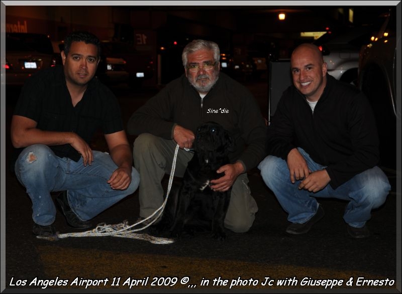 los angeles,,, Jc,,, Giuseppe,,, Ernesto,,