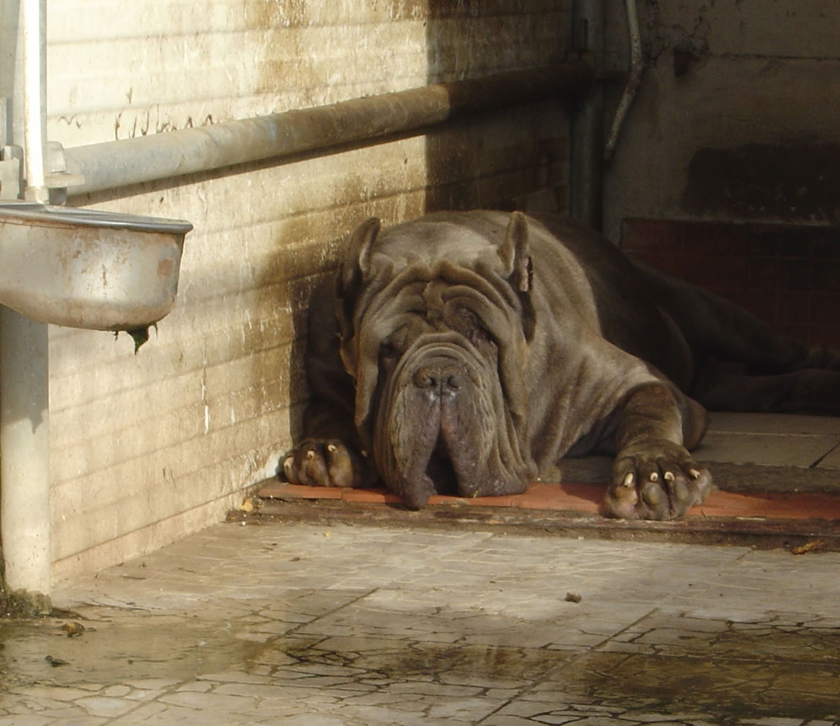 argo2