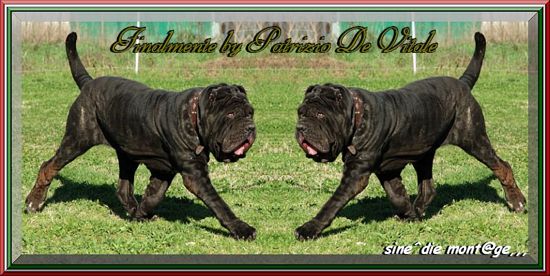Finalmente by Patrizio De Vitale,,,