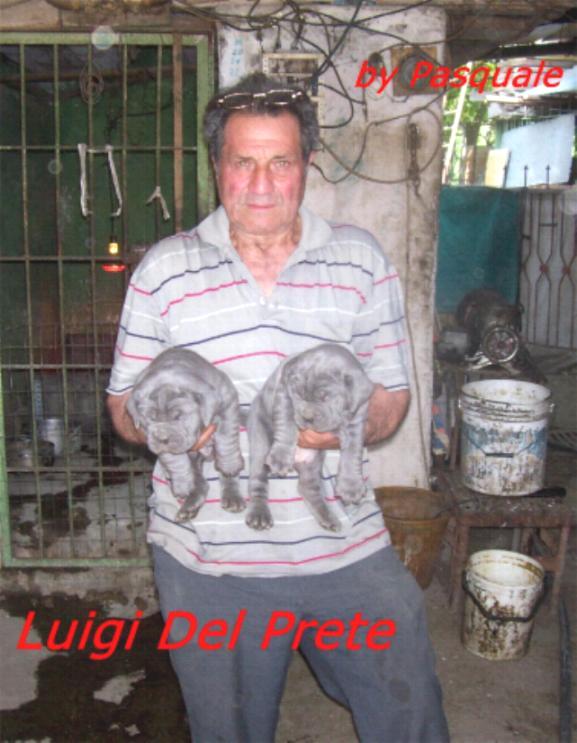 Luigi del prete - cuccioli -
