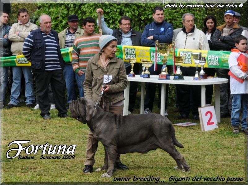 Fortuna by Giganti del Vecchio Passo,