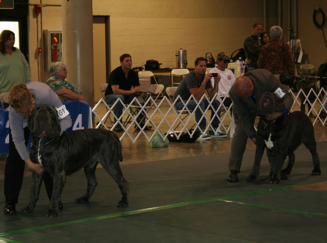 2010-Nationals-53
