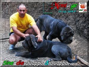 Sine^die Guappo & Guappa 24 July 2008,,,