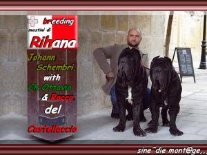 Johann Schembri with Ch.Ottavio & Rocco del Castellaccio,,,