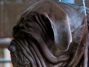 IMG02116