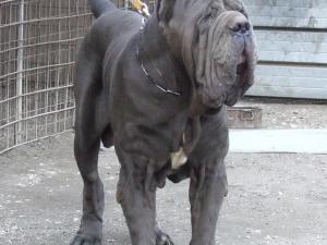 2006_1031Abi10350001