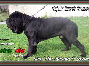 Sicano sine^die a Napoli,, il 24 Aprile 2007,,,