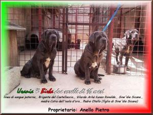 Urania e Birba 16 mesi