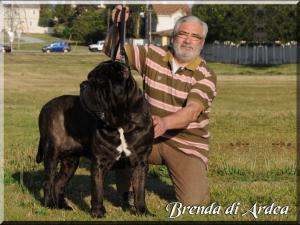 Los Angeles Brenda di Ardea