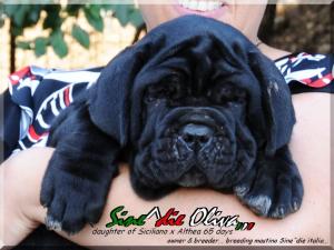 Laura con cucciola figlia di Siciliano x Althea,,,,