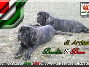 Bandito & Bosco di Ardea figli di sine^die Sicano,,,
