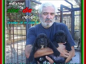 FIGLIE DI SEGESTA X RENATO