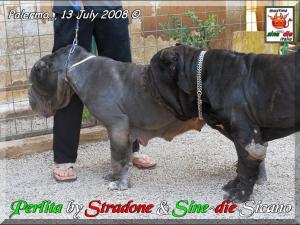 Perlita dello Stradone & Sine^die Sicano,,,