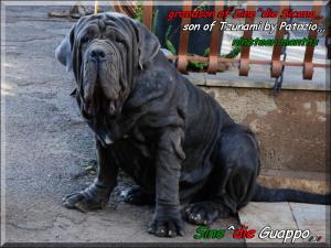 Guappo Sine^die 19 mesi,