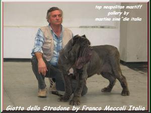 giotto dello stradone