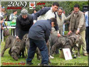 Scisciano 2009 ,,,,,,,,,