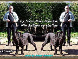 Siciliano by sine^die & Salvo Scherma,,,