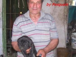 Luigi del prete - cuccioli - 3