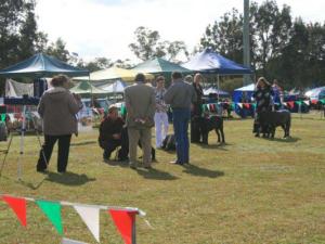 puppyMalesIMG_8651