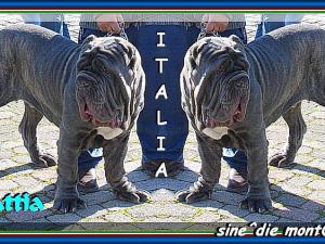 Mattia ,,, double